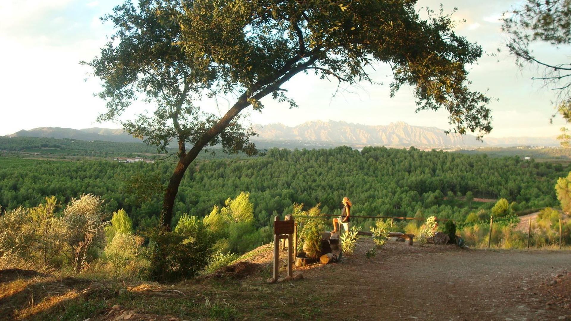 Comarquinal Bioresort Penedes San Quintín de Mediona Екстериор снимка